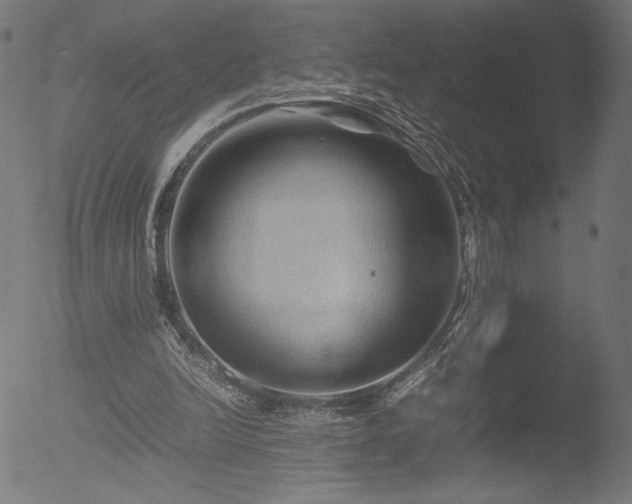 X0000053090246200507111205