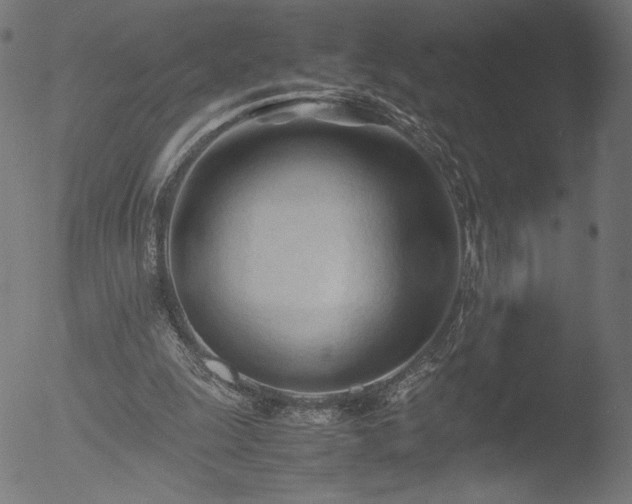 X0000053090247200507111205