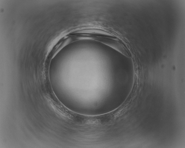 X0000053090248200507111205