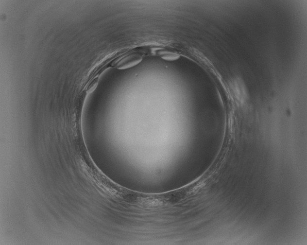 X0000053090249200507111205