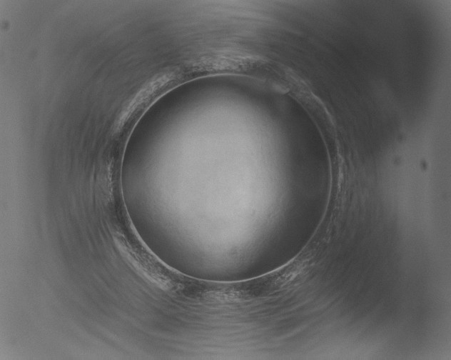 X0000053090250200507111205