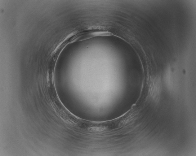 X0000053090251200507111205