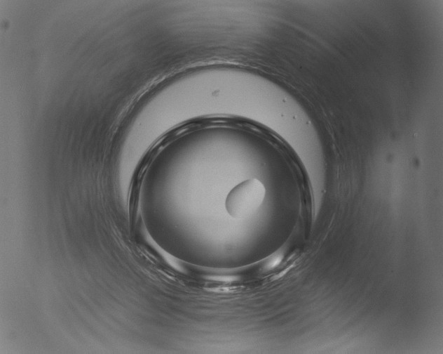 X0000053090252200507111205