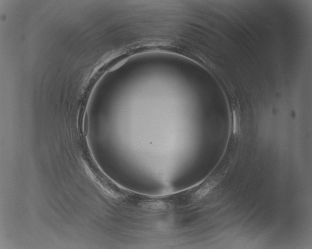 X0000053090253200507111205