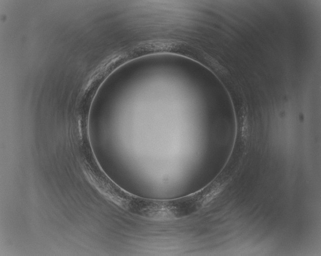 X0000053090254200507111205