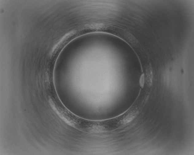 X0000053090256200507111205