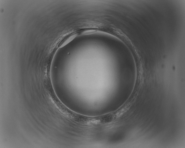 X0000053090257200507111205