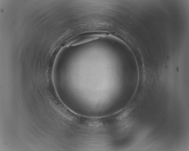 X0000053090258200507111205