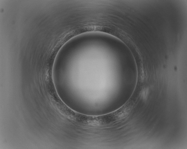 X0000053090259200507111205