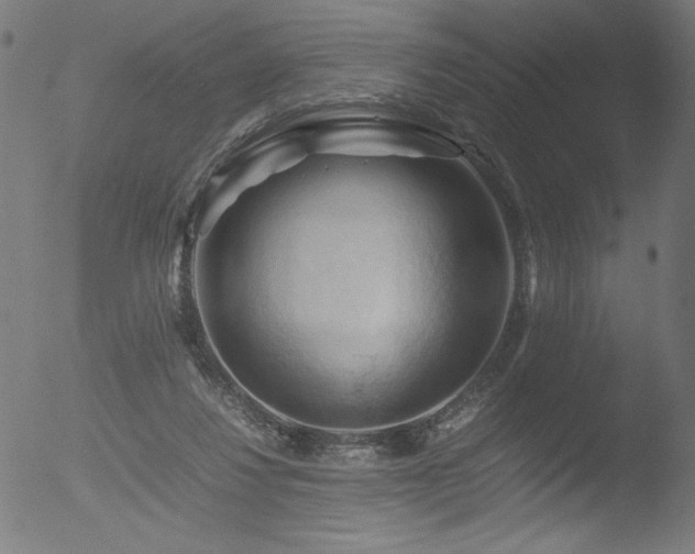 X0000053090260200507111205