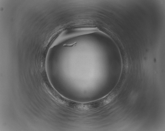 X0000053090261200507111205