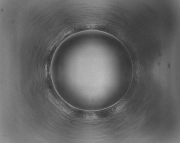 X0000053090262200507111205