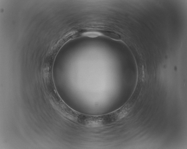 X0000053090263200507111205