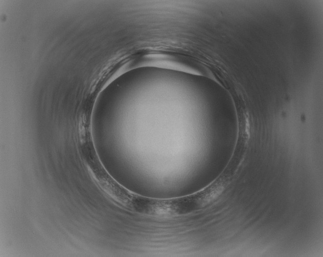 X0000053090264200507111205