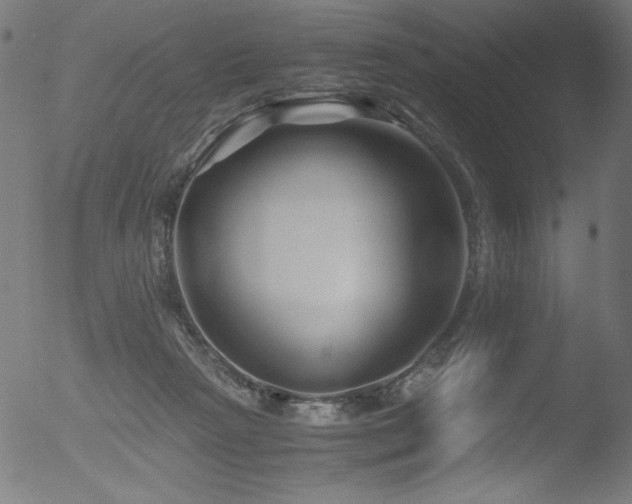 X0000053090265200507111205