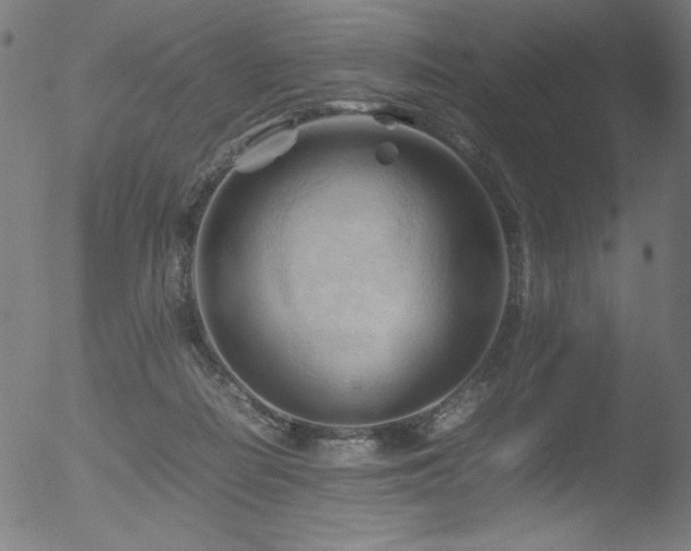 X0000053090266200507111205