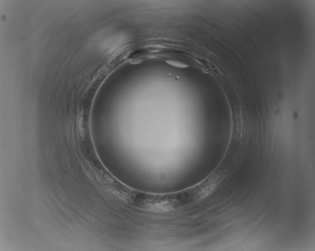 X0000053090267200507111205