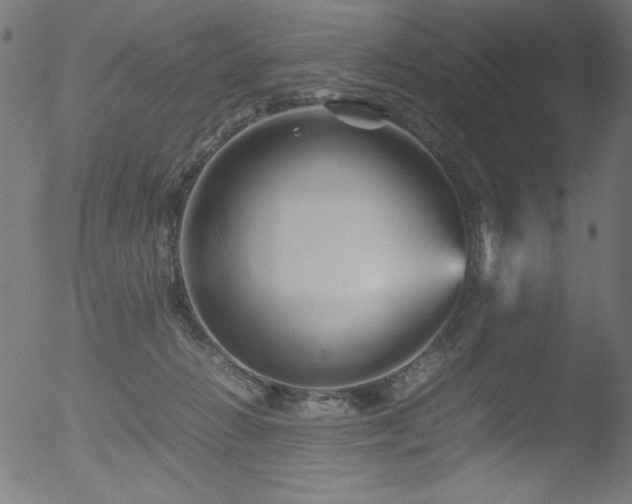 X0000053090270200507111205