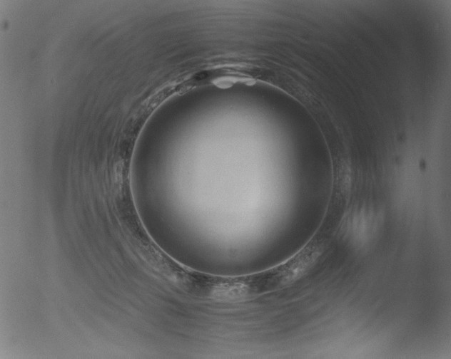 X0000053090271200507111205