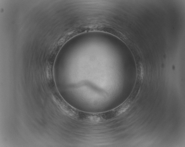 X0000053090272200507111205