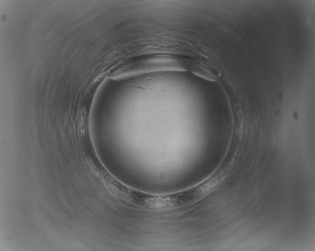 X0000053090273200507111205