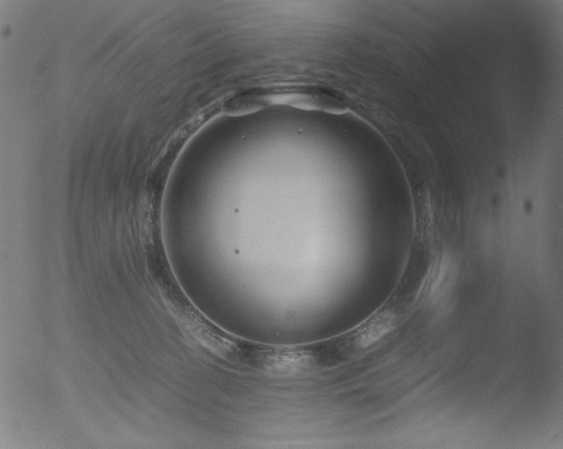 X0000053090274200507111205