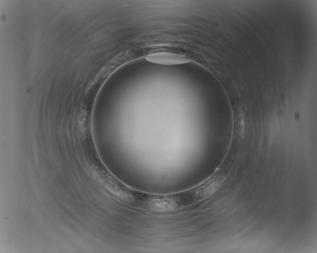 X0000053090275200507111205