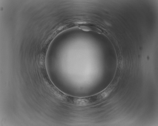 X0000053090277200507111205