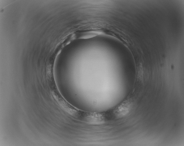 X0000053090278200507111205