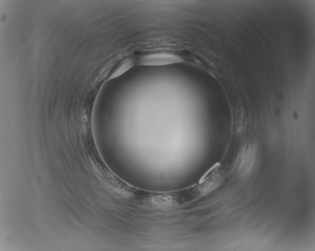 X0000053090279200507111205