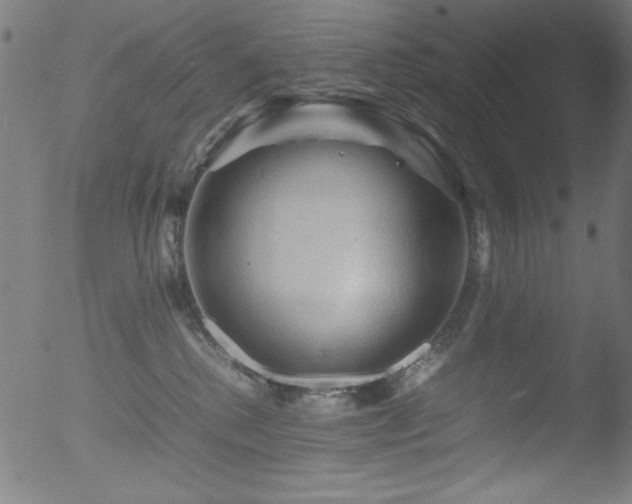 X0000053090280200507111205