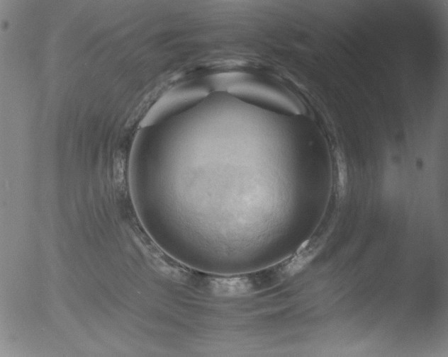 X0000053090281200507111205