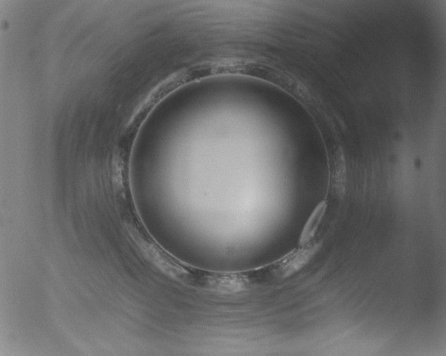 X0000053090282200507111205