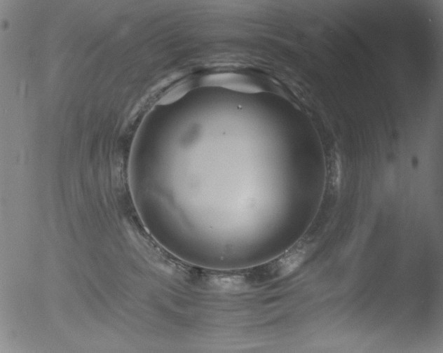 X0000053090283200507111205