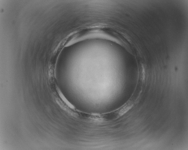 X0000053090284200507111205