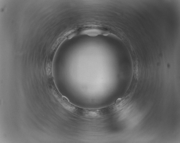 X0000053090285200507111205