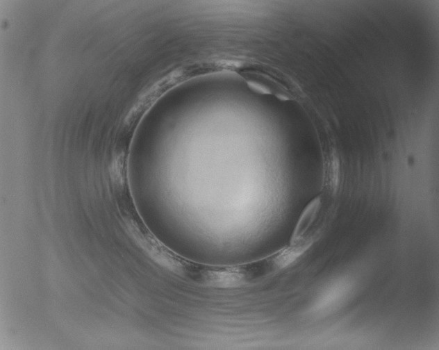 X0000053090286200507111205