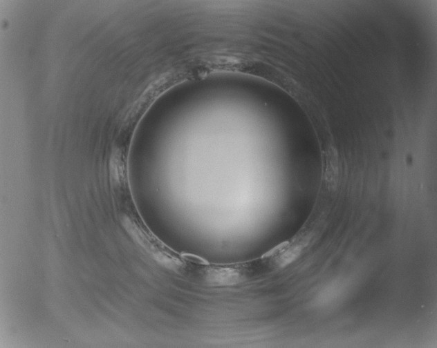 X0000053090287200507111205