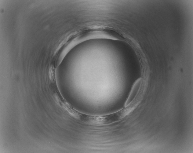 X0000053090288200507111205