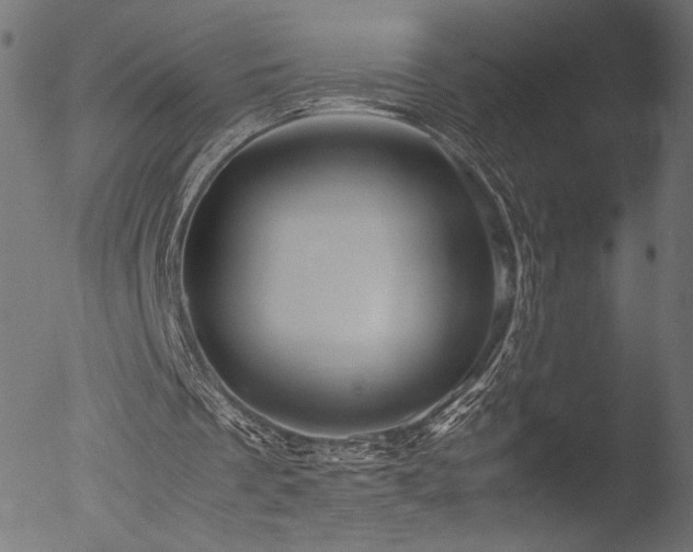 X0000053090289200507111205