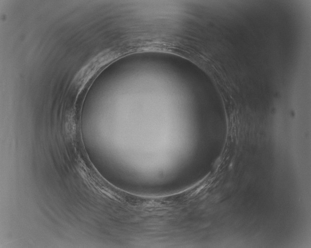 X0000053090290200507111205