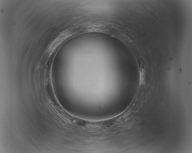 X0000053090291200507111204