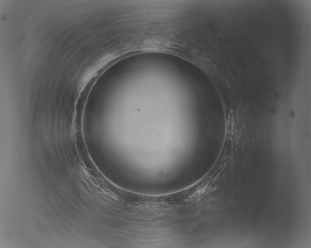 X0000053090292200507111204