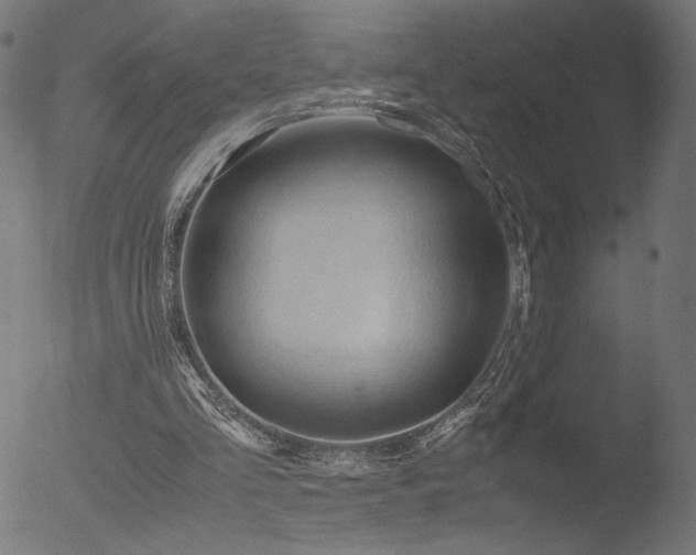 X0000053090293200507111204