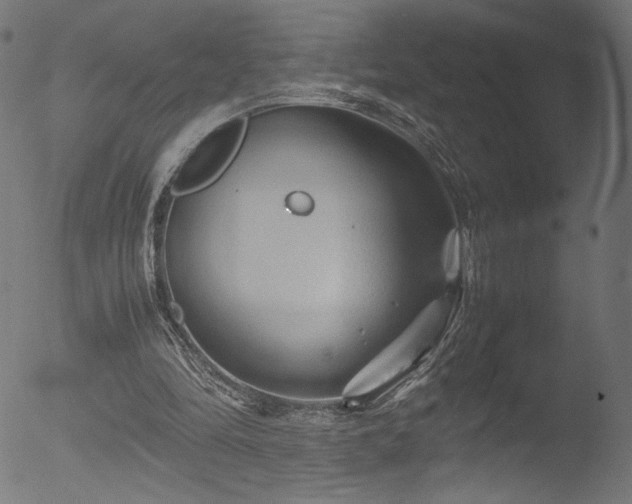 X0000053090294200507111204