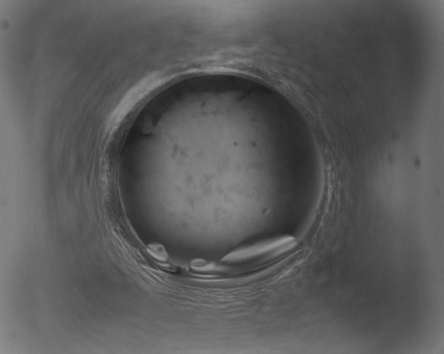 X0000053090295200507111204