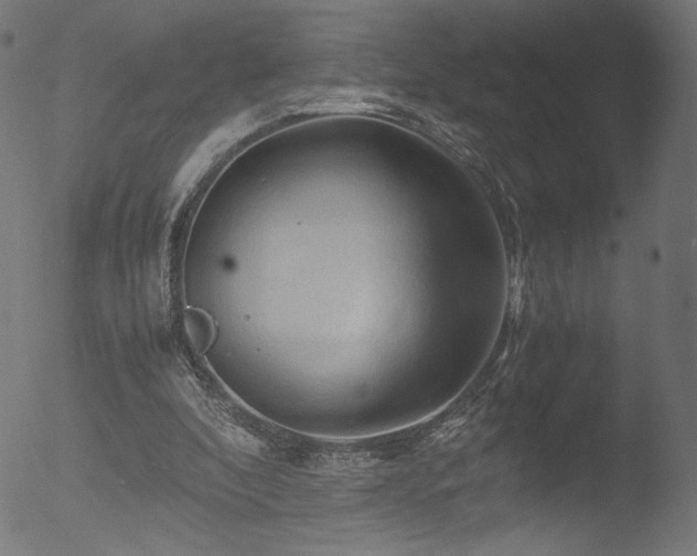 X0000053090296200507111204