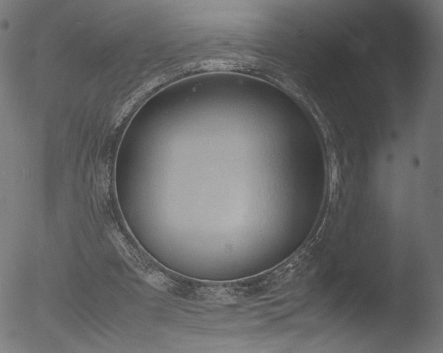 X0000053090297200507111204