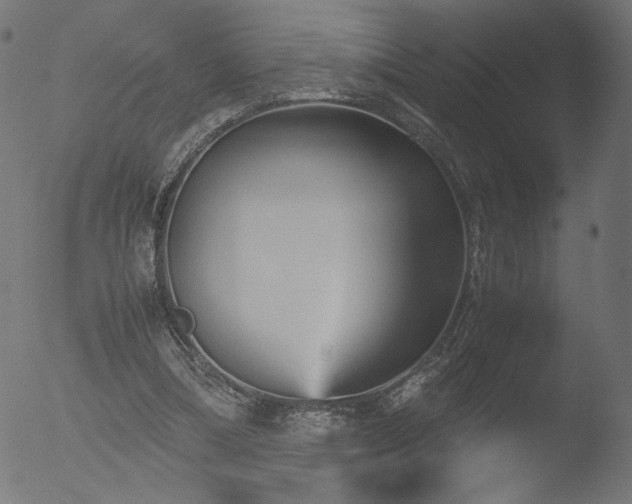 X0000053090298200507111204