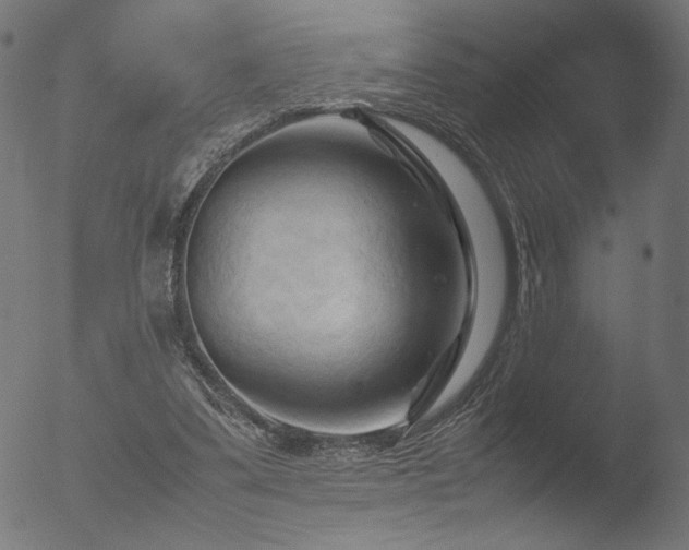 X0000053090299200507111204